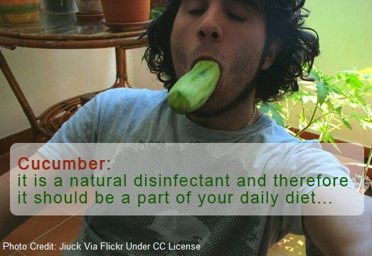 cucumber cures bad breath, cucumbers for bad breath, cucumber kills bad breath, can cucumber cure bad breath